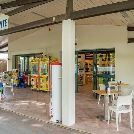 Pineta Sul Mare * 切塞纳蒂科