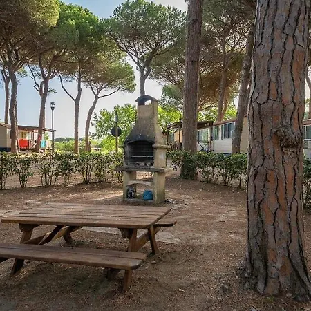 Pineta Sul Mare مكان تخييم *