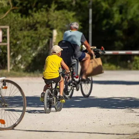 Pineta Sul Mare * 切塞纳蒂科