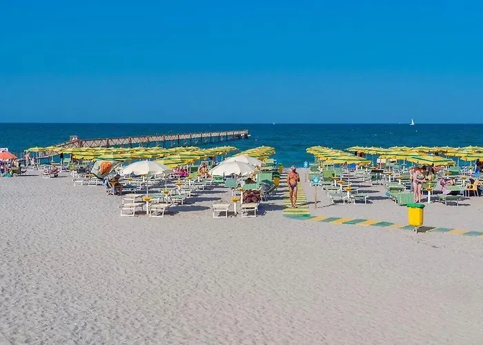 Pineta Sul Mare Kemping