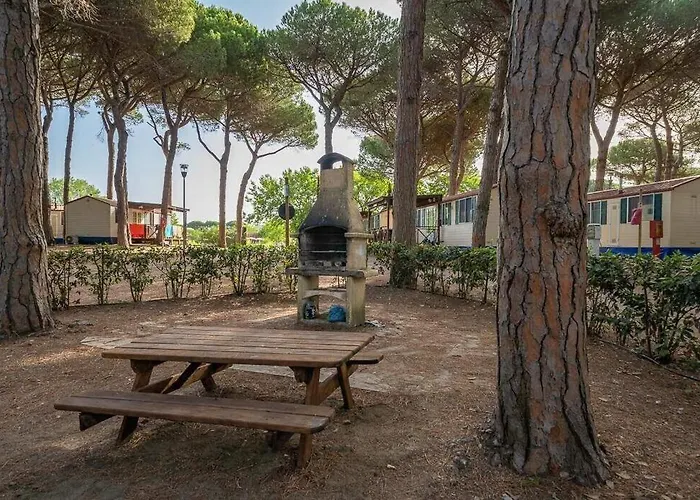 Pineta Sul Mare Κάμπινγκ *